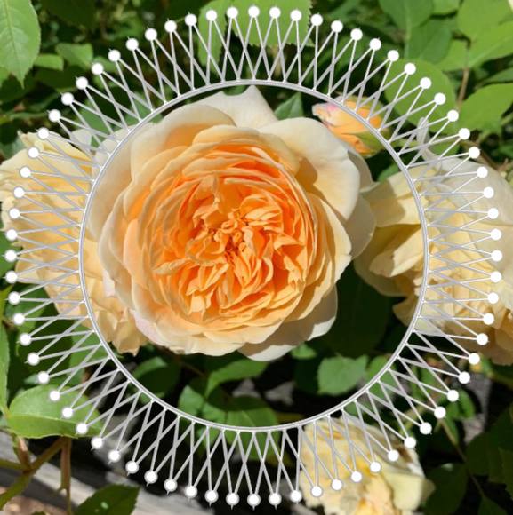 Meet your Posher, Kathleen - Picture 1 of 1